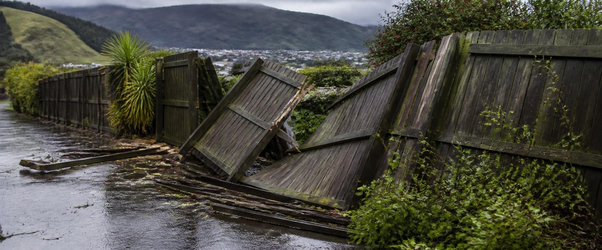 Storm-Damaged Fence in the Hutt Valley? Repair, Replace and Who Pays