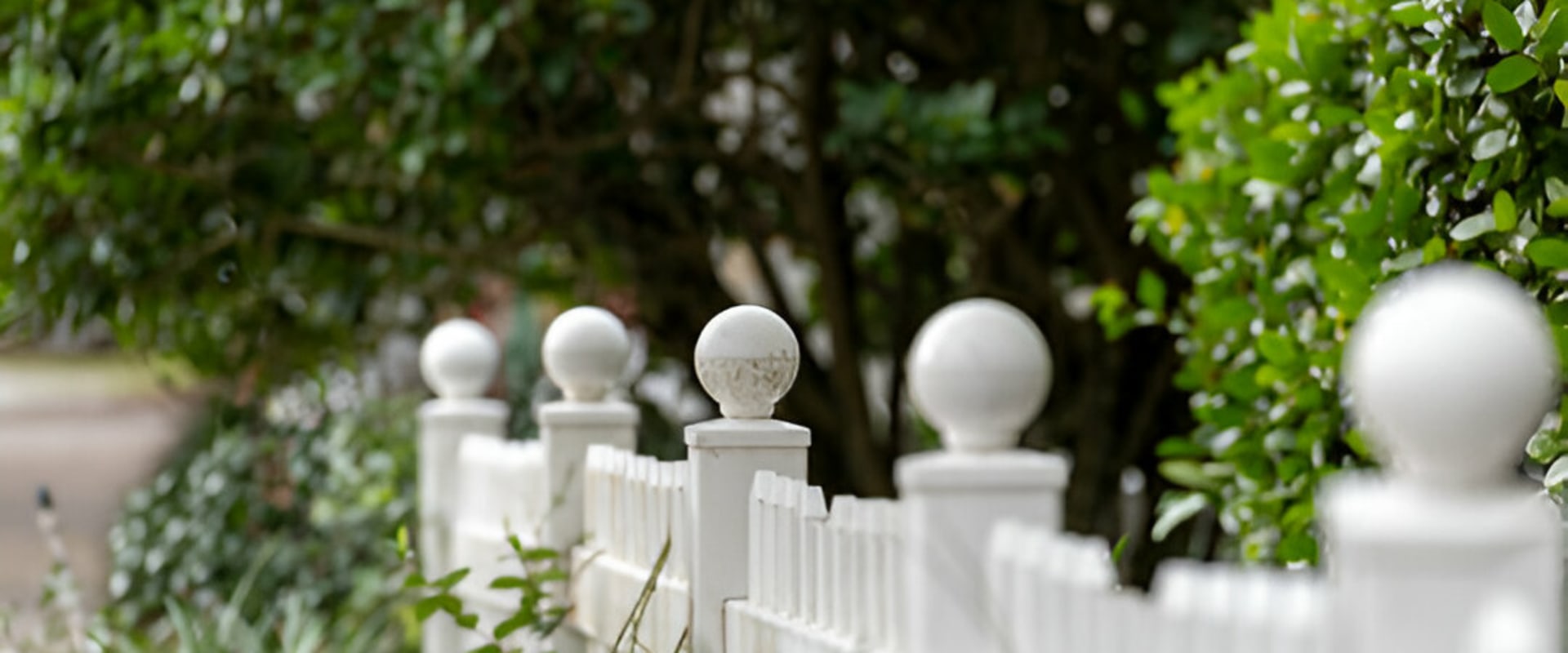 Why More Kiwis Are Choosing PVC Over Timber Fences